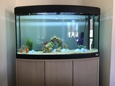 FUVAL 150 Litres Fish Tank with cabinet with FUVAL 307 filter system.
