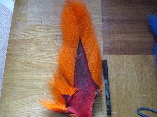 Buck tail whole orange - tail,