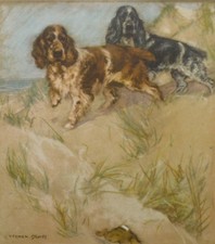 VINTAGE SPANIEL DOGS  BY