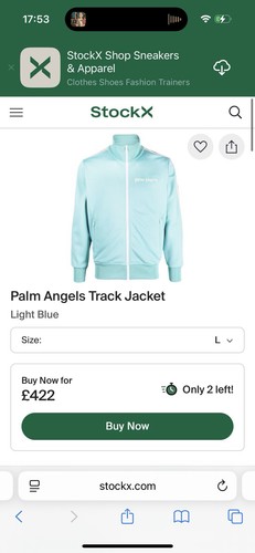 Light blue palm - light, angels