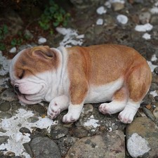 Sleeping Bulldog Puppy Resin