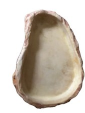 Exo Terra Reptile Feeding Dish