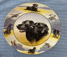 Royal Doulton Nigel Hemming