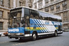 Coach Photo - Bakers Dolphin