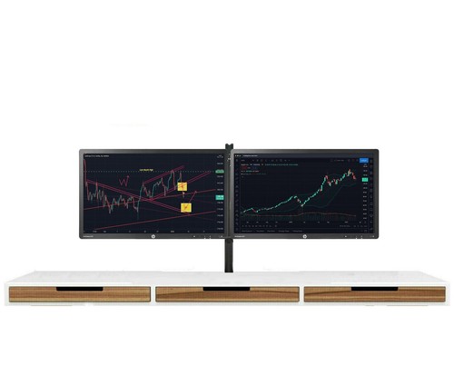 Dual monitor bundle e231 - dual,