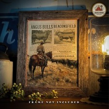 Vintage Black Angus Cattle