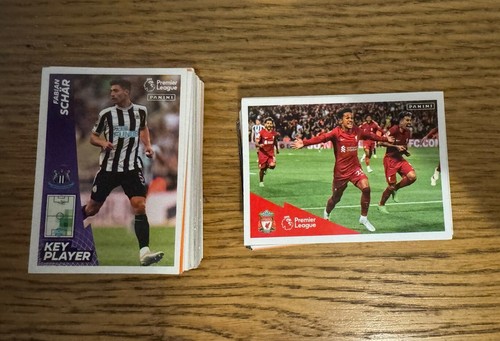 Panini premier league - premier,