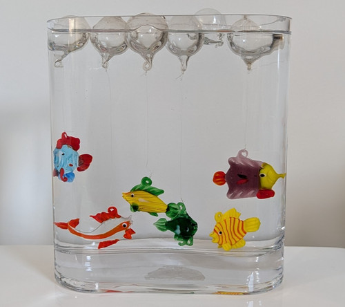 Aquarium set float - aquarium,