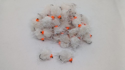 White straggle - white, egg-it