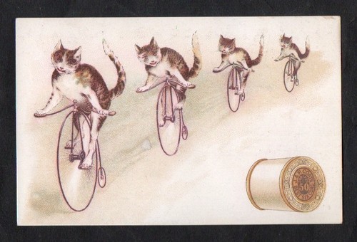 Coats thread cats - coats, ride