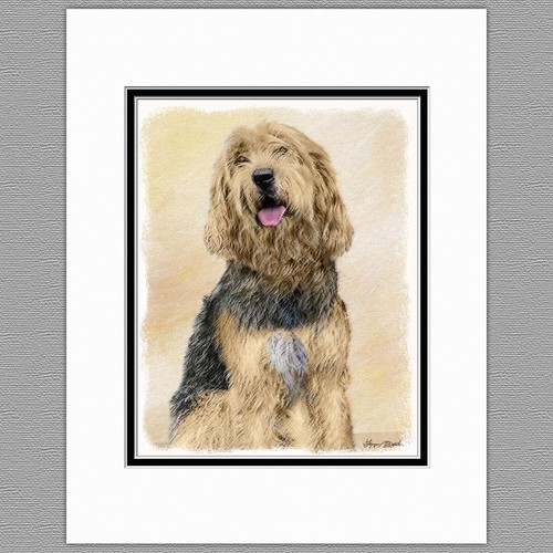 Otterhound dog original - otterhound,