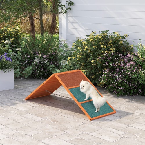 Dog agility equipment - agility,