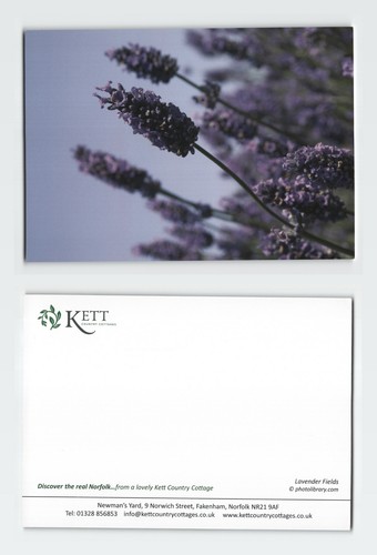 Vintage postcard lavender - vintage,