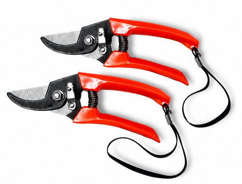 Pruning shears garden - 2x, 8"
