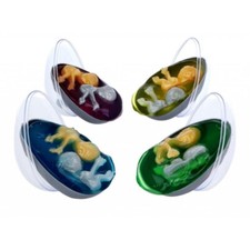 2 x Twin Baby Alien Egg Cocoon