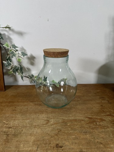 Glass terrarium container - terrarium,
