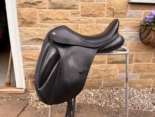 kent and masters dressage  S