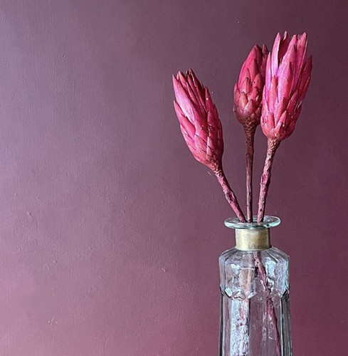Dried cerise pink - cerise,