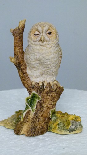 Border fine arts - one, owlet