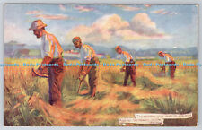 R737331 The Meadows Glow and Rise Unquell Against the Mowers Scythe Country Life