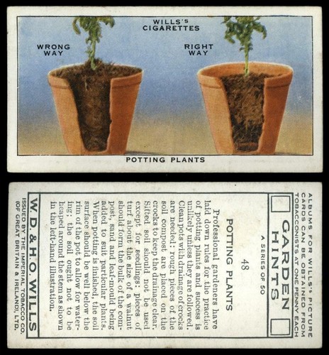 Potting plants garden - potting, #48