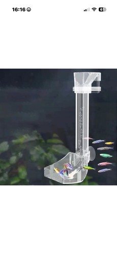 Shrimp fish feeding - shrimp,
