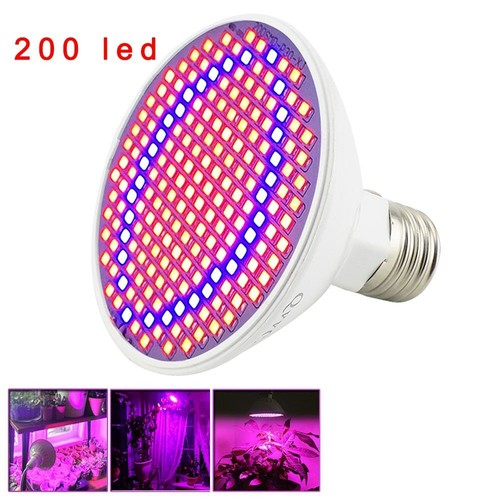 200 led plant - 200,