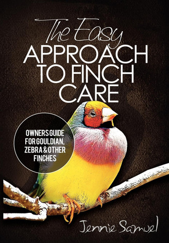 The easy approach finch - to,