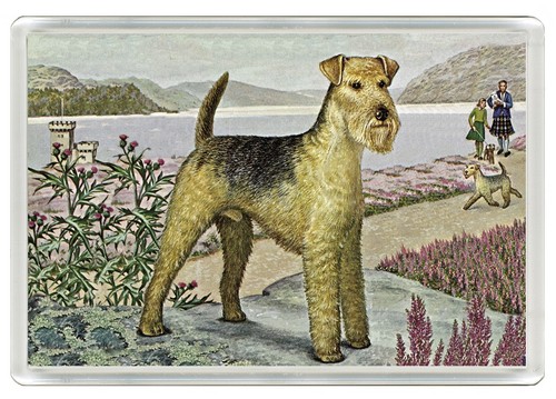 Lakeland terrier dog fridge - dog,