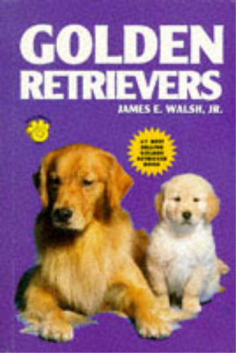 Golden retrievers - golden, dog)