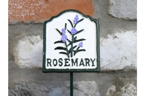Garden herb sign rosemary - garden,