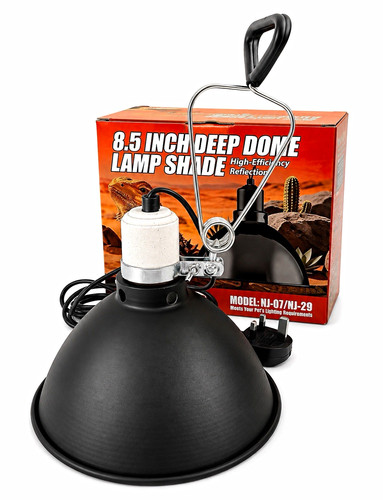 Nomoy pet inch - inch, deep