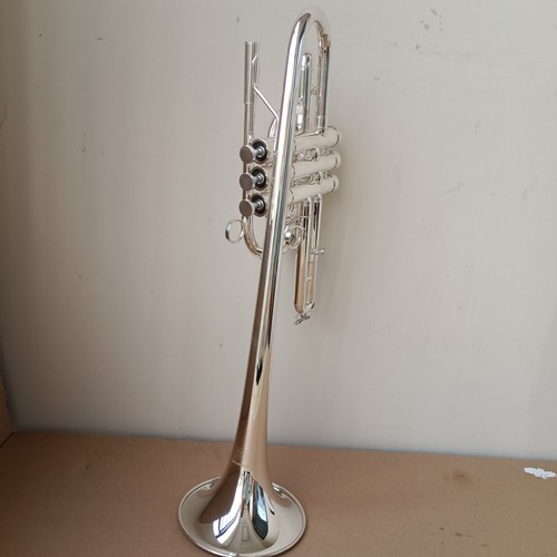 Professional key silver - professional, b-key