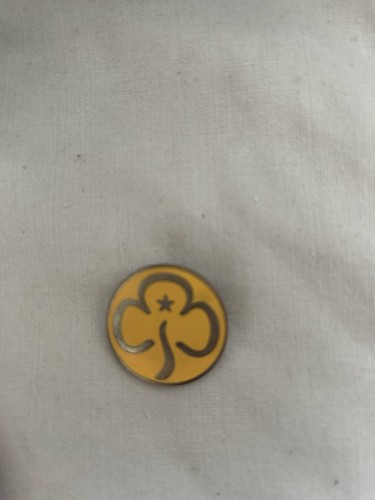 Old style girlguiding brownies - girlguiding,