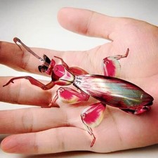 Orchid Mantis Full Metal DIY