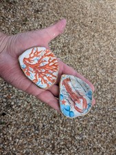 2 Hand Decorated Sea Shells