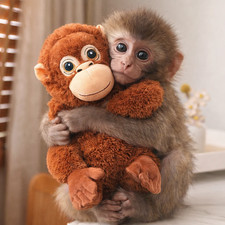 66cm Punch Monkey Plush Toy