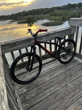 Custom Red Line Dirt Jump Bike