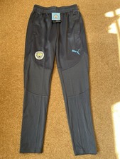 Puma Manchester City Tracksuit