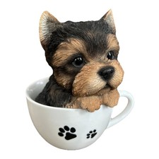 Yorkshire Terrier Puppy in