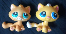 LPS LITTLEST PET SHOP  GINGER CATS HASBRO 2005 1 x GREEN EYED 1 X BLUE EYED