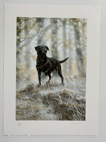Dog art print - dog,