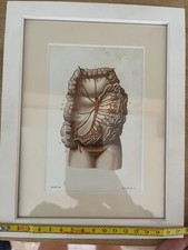 Vintage Anatomical Heart Medical Poster Antique Illustration A5 Wall Art Print