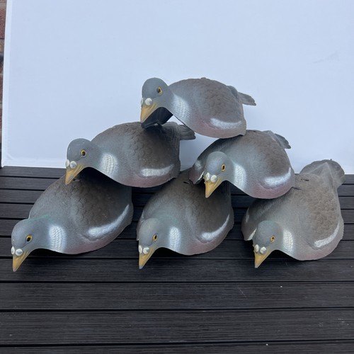 Pigeon decoy half shell - decoy, x