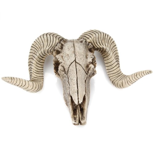 Skull sheep mini - skull, s