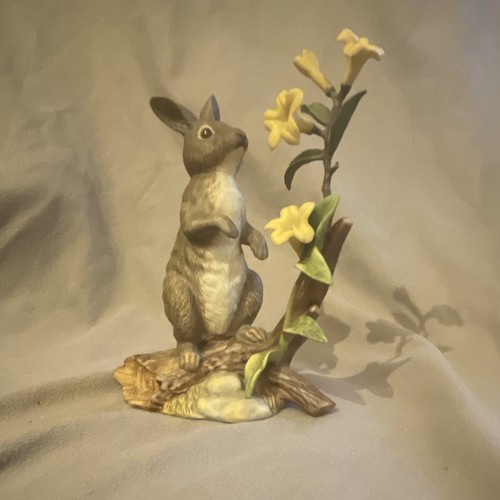 Lenox eastern cottontail - lenox,