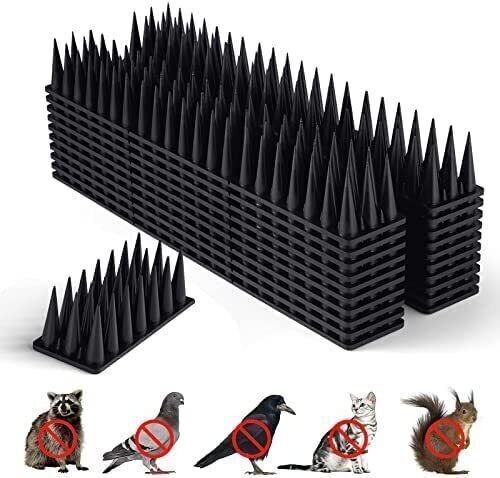 Anti bird spikes fence tops - bird,