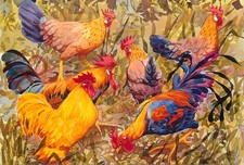 Picture Postcard: Mary Ann Rogers, Mixed Bantams