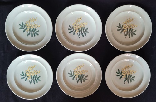 Spode flemish green - flemish, mimosa