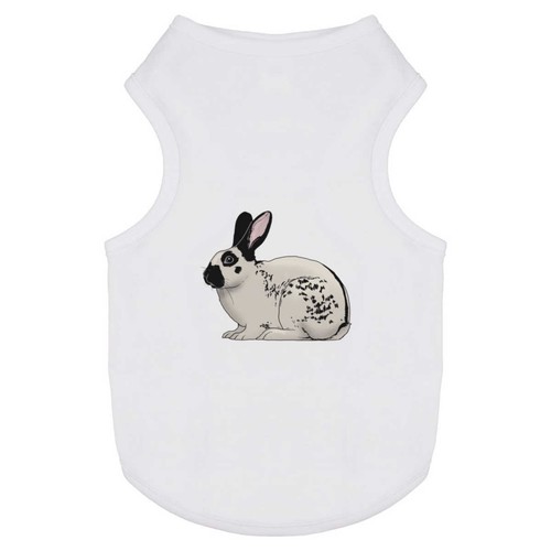 English spot rabbit pet dog - 'english,